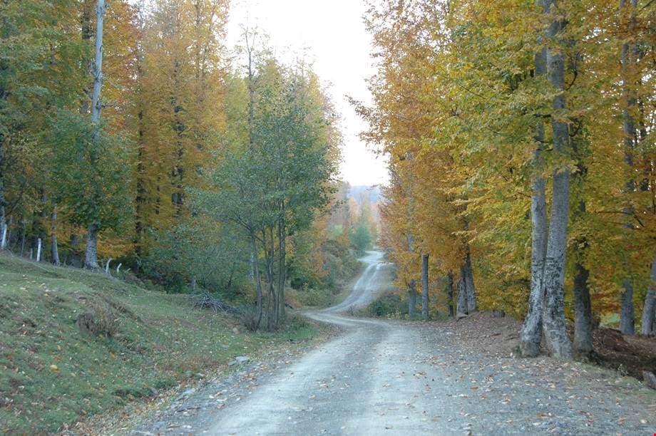 Nebiyan Dağı eteklerinde serin havası ve geniş çayırlarıyla tipik bir Karadeniz yaylası.
