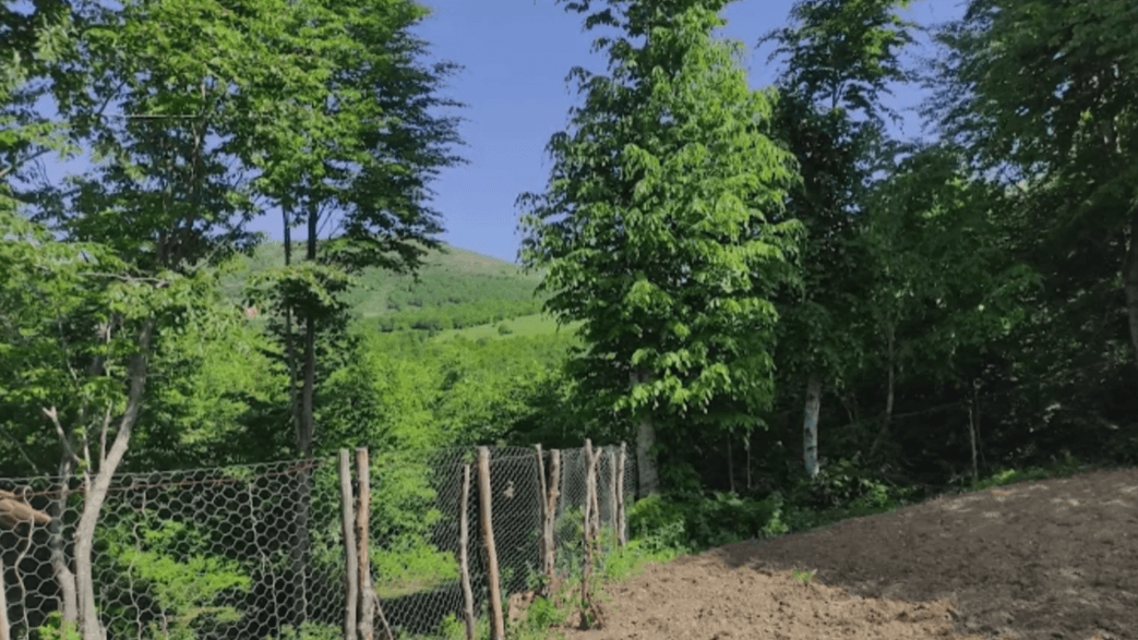 İlçe merkezine 7 kilometre uzaklıkta, yaklaşık 1500 metre rakımlı, yayla evleriyle bilinen serin bir yayla.