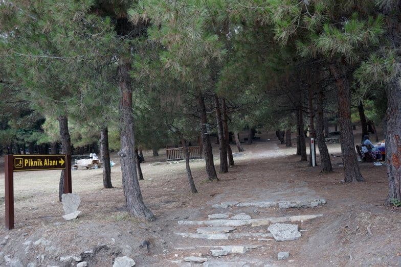Samsun